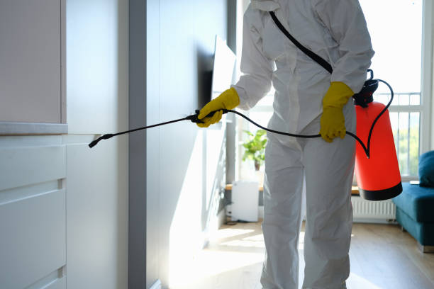Best Residential Mold Removal  in Fair Lakes, VA