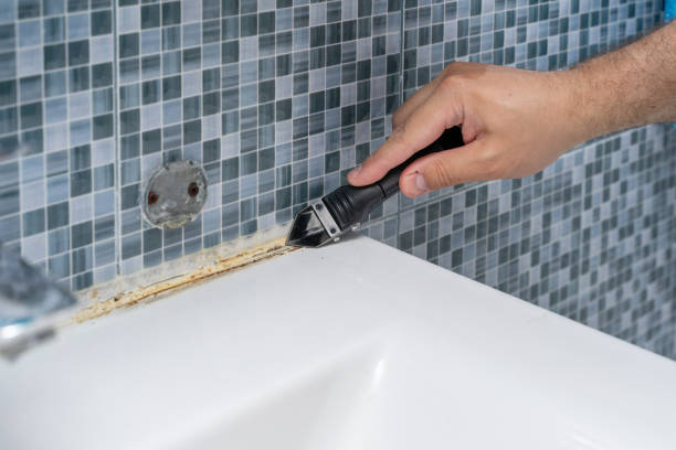 Best Same-Day Mold Removal  in Fair Lakes, VA