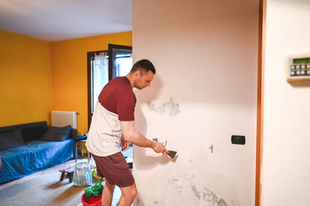 Best Best Mold Removal Companies  in Fair Lakes, VA